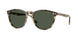 Vogue Eyewear 5599S Sunglasses