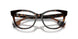 3002 - Brown