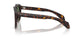 300271 - Tortoise - Solid Dark Green