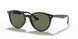 601/9A - Black - Polar Green