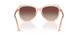 110913 - Pink - Gradient Brown