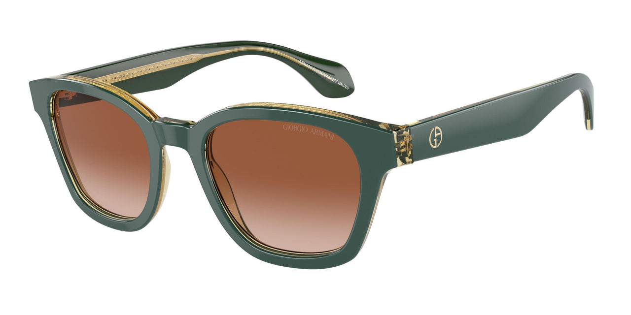 Giorgio Armani 8207F Sunglasses