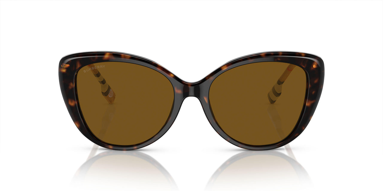 385483 - Brown - Brown Polar