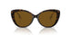 385483 - Brown - Brown Polar