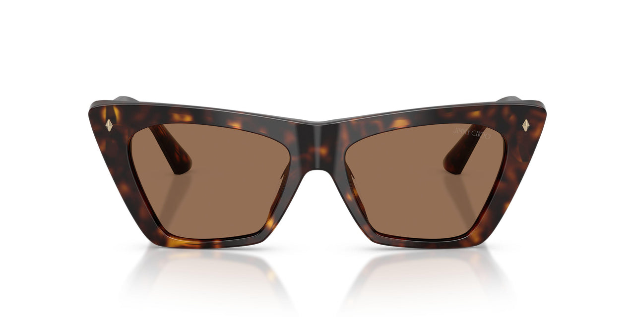500273 - Tortoise - Dark Brown