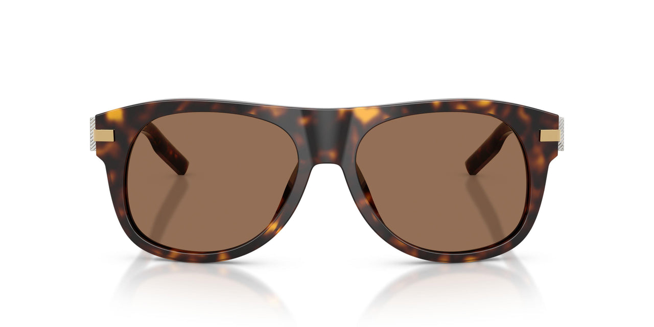 502/73 - Tortoise - Dark Brown