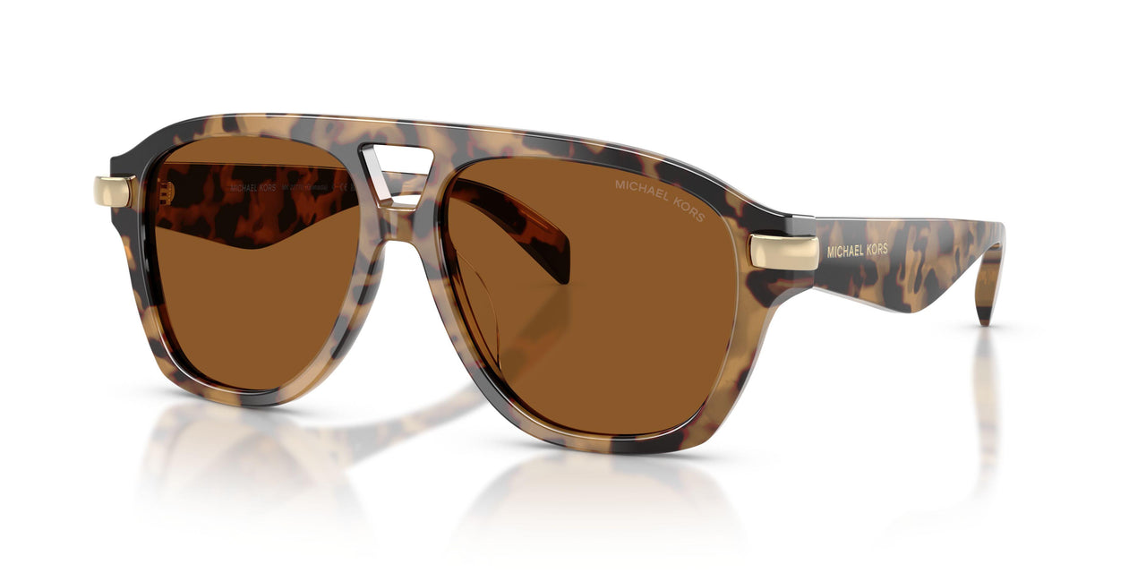 393073 - Tortoise - Amber