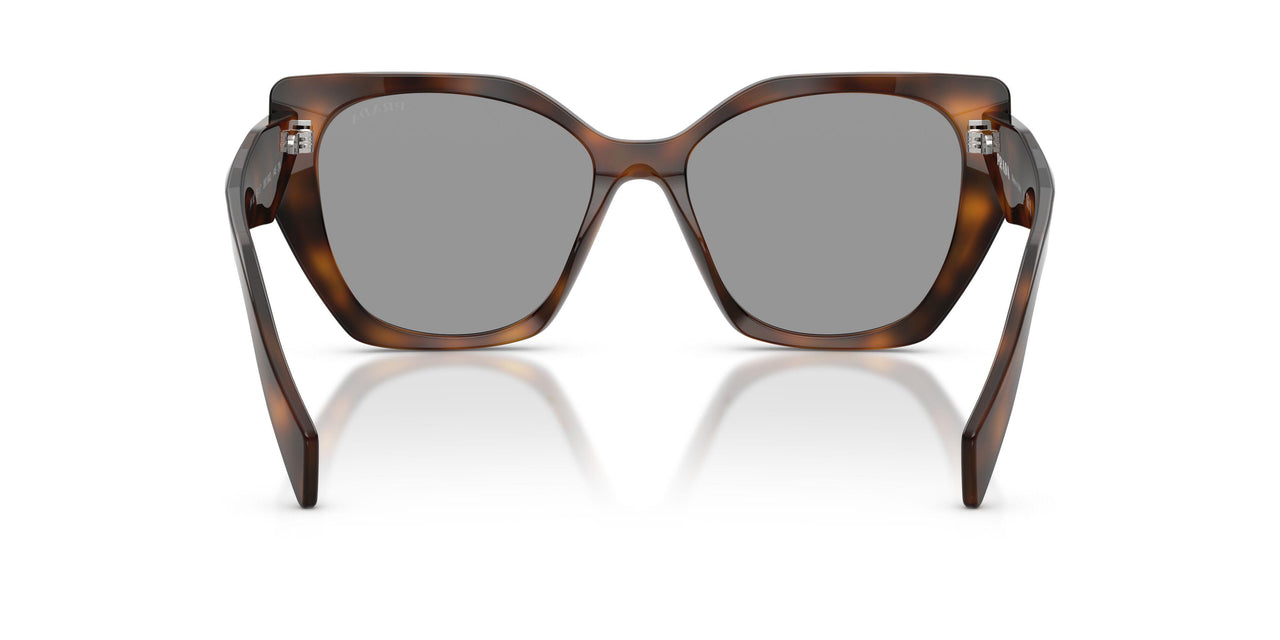 20D50Q - Havana - Grey