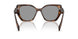 20D50Q - Havana - Grey
