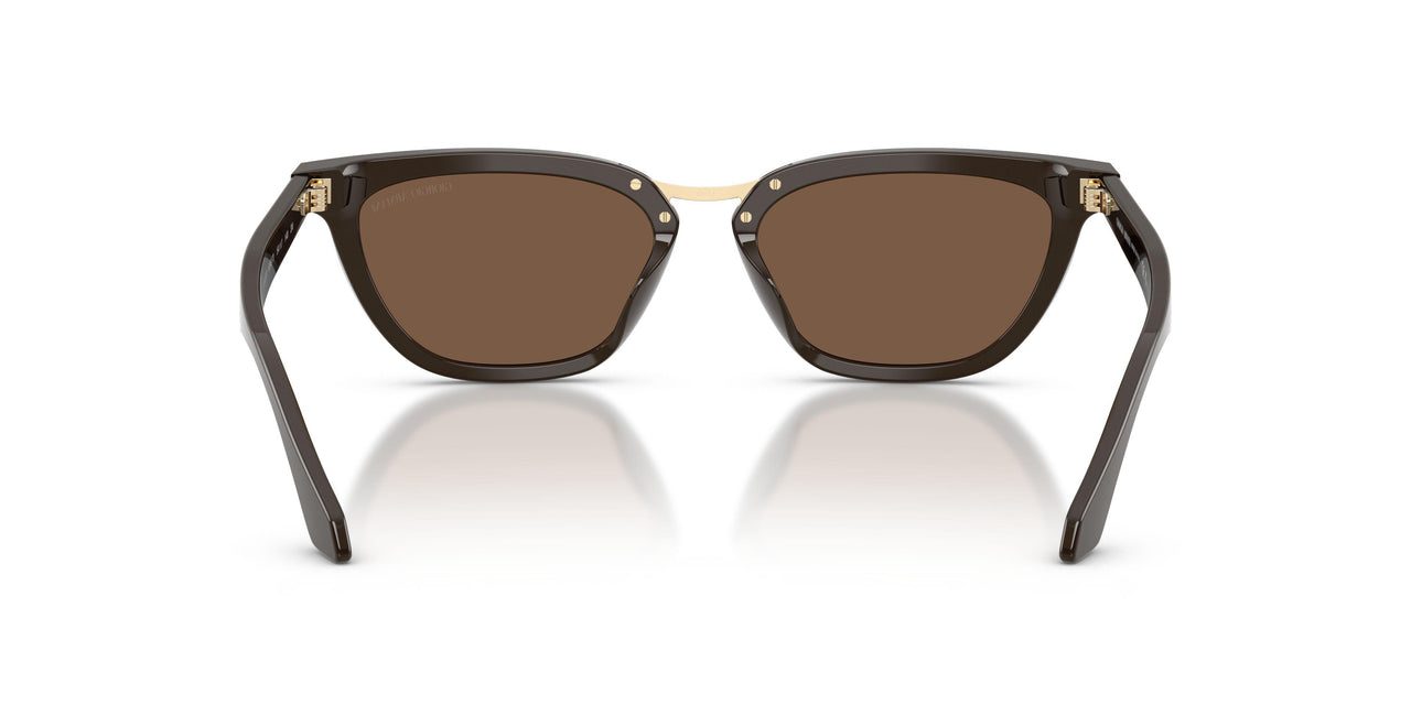 639873 - Brown - Brown