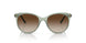 302213 - Green - Brown Gradient