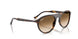 902/51 - Tortoise - Clear Gradient Brown