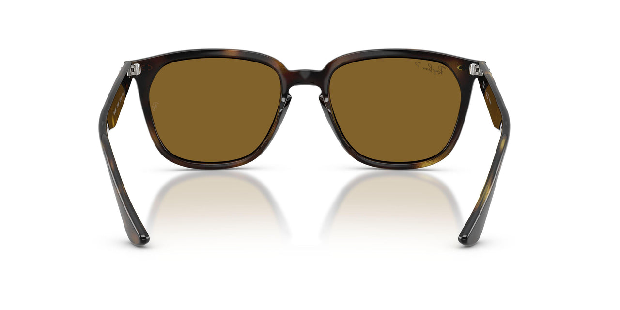 710/83 - Havana - Polar Brown