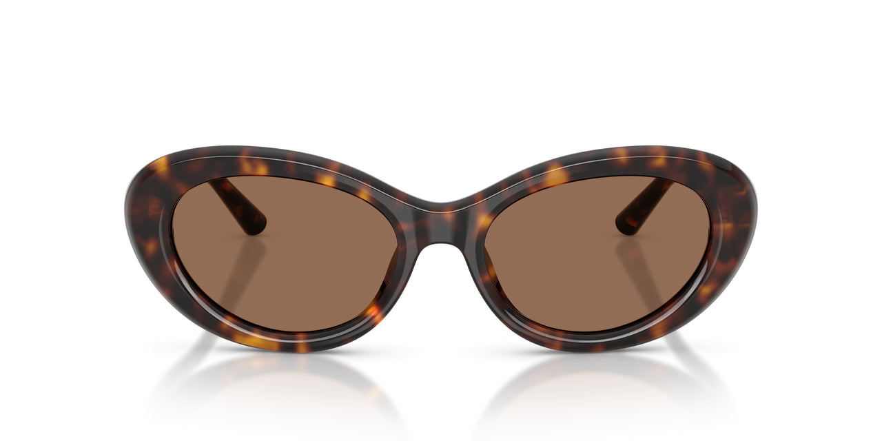 502/73 - Tortoise - Dark Brown