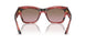 308914 - Red - Violet Gradient Brown