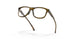 817502 - Brown - Clear