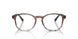8251 - Brown - Clear
