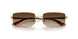 848/13 - Gold - Brown Gradient