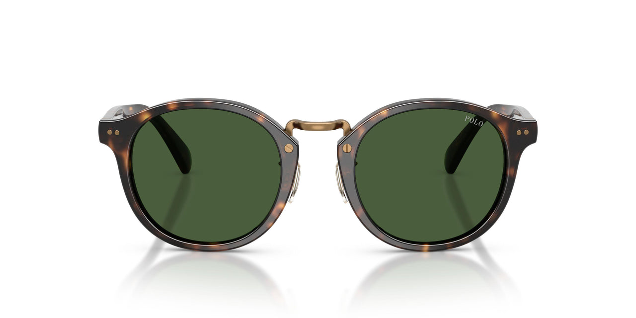 500371 - Tortoise - Bottle Green