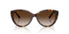80153B - Tortoise - Brown Gradient