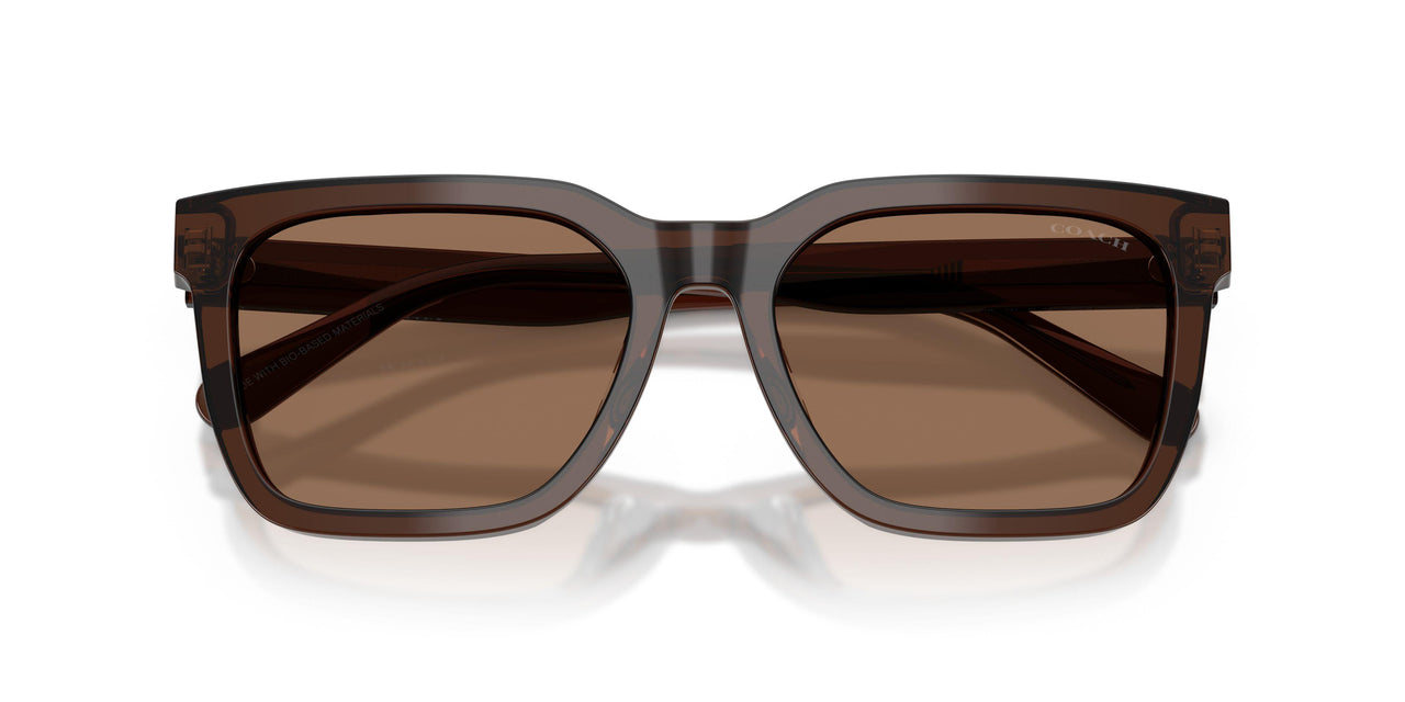 597373 - Brown - Brown Solid