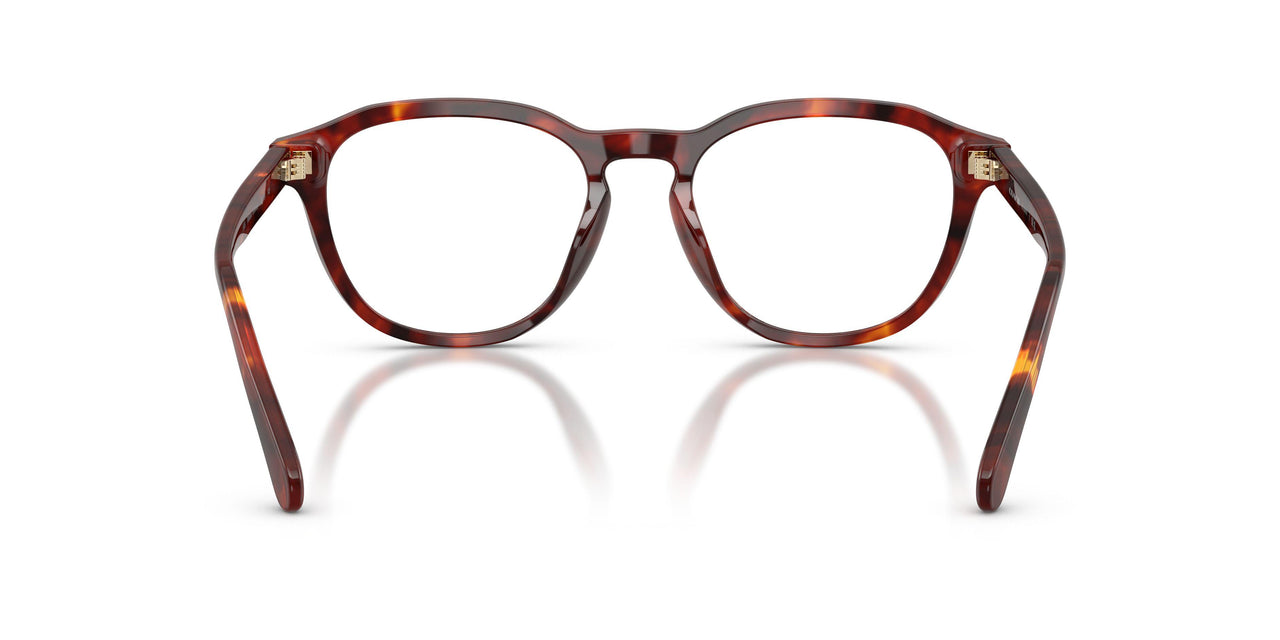 5938 - Tortoise