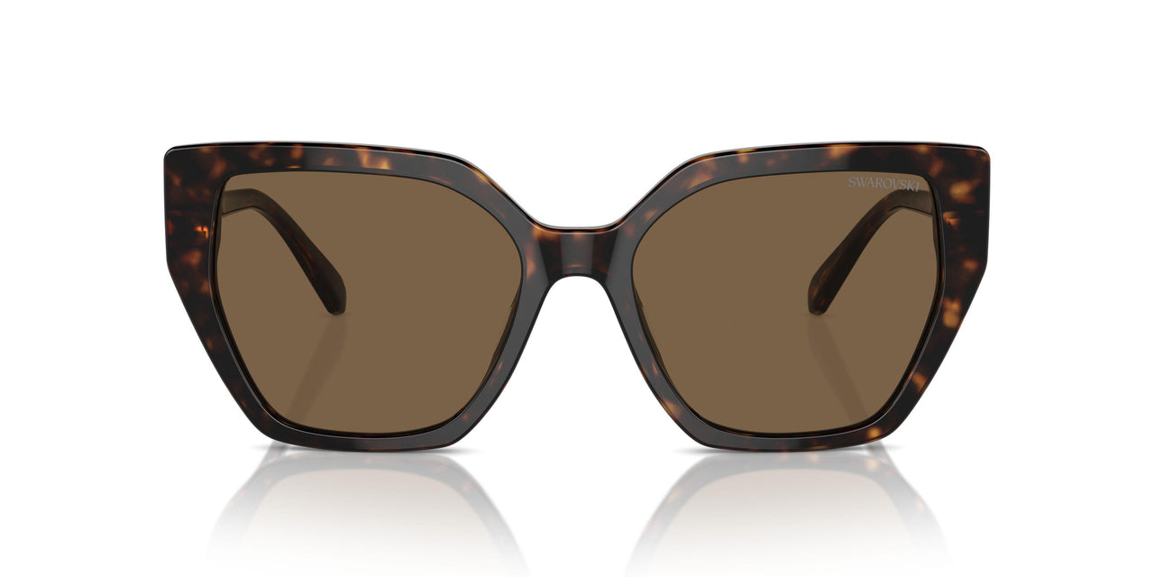 100273 - Brown - Dark Brown
