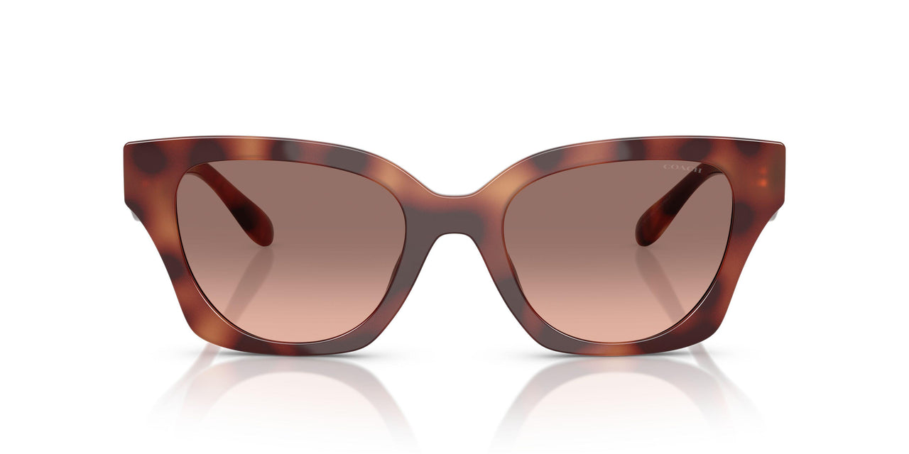 577413 - Tortoise - Brown Pink Gradient