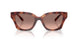 577413 - Tortoise - Brown Pink Gradient