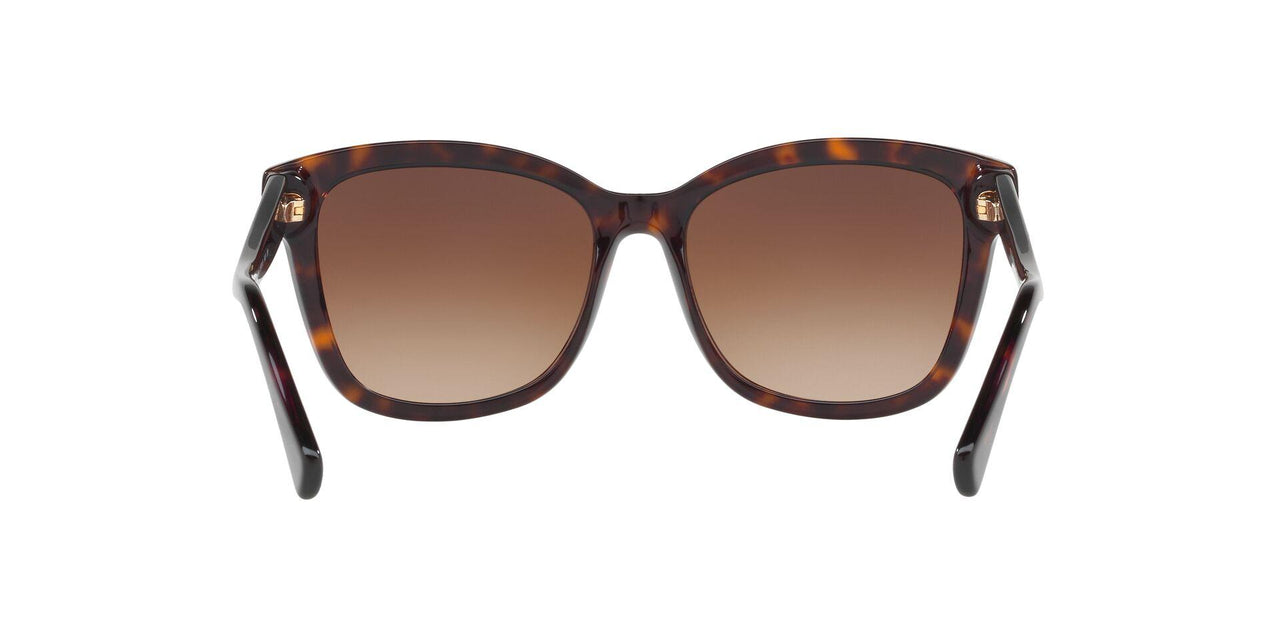 512013 - Havana - Brown Gradient