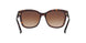 512013 - Havana - Brown Gradient