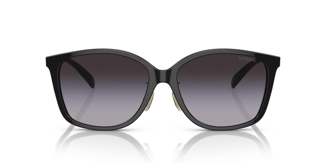 50028G - Black - Grey Gradient