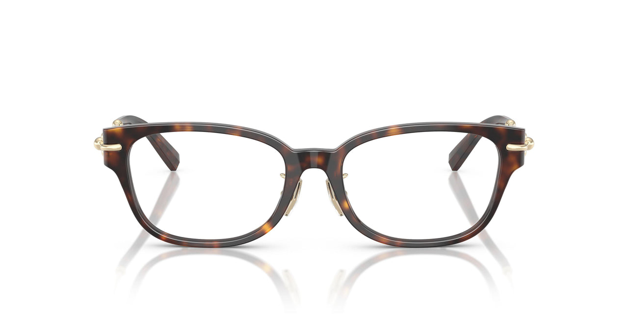 8015 - Tortoise