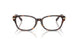 8015 - Tortoise