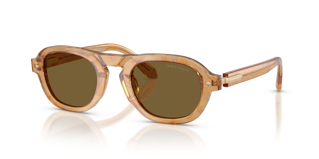 630073 - Tortoise - Dark Brown