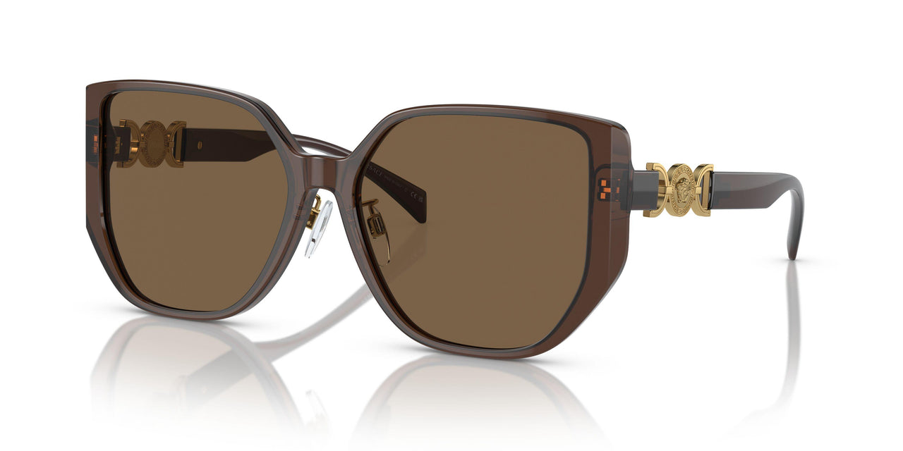 541673 - Brown - Dark Brown