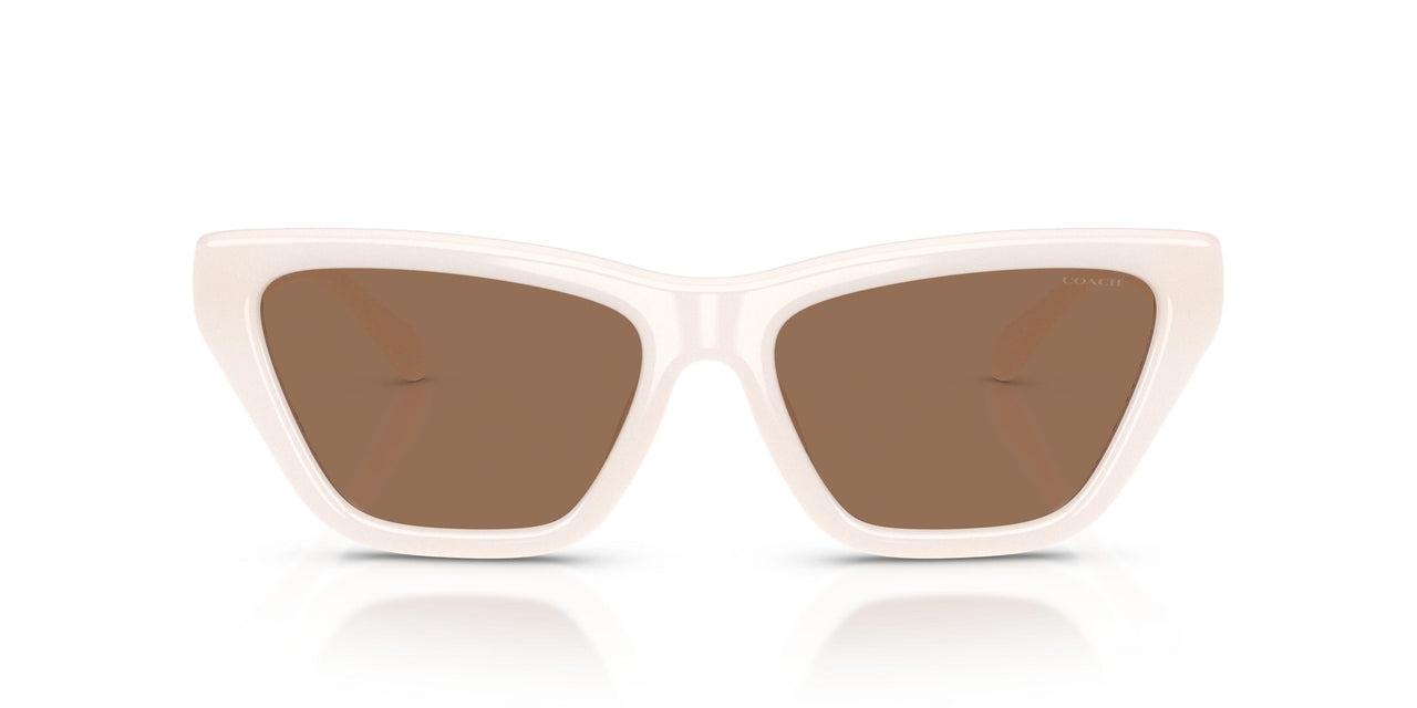 579073 - White - Brown Solid