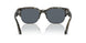 1071R5 - Tortoise - Blue