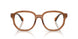 3017 - Brown