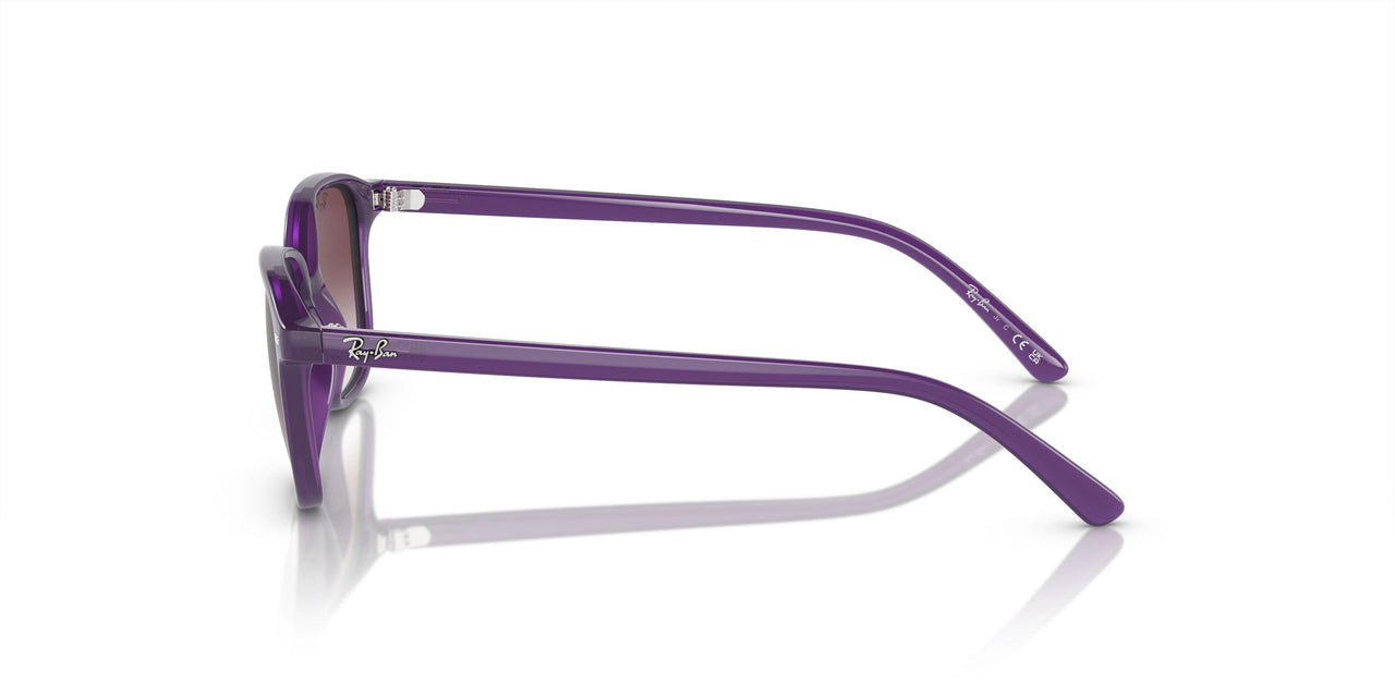 713136 - Violet - Grey/violet