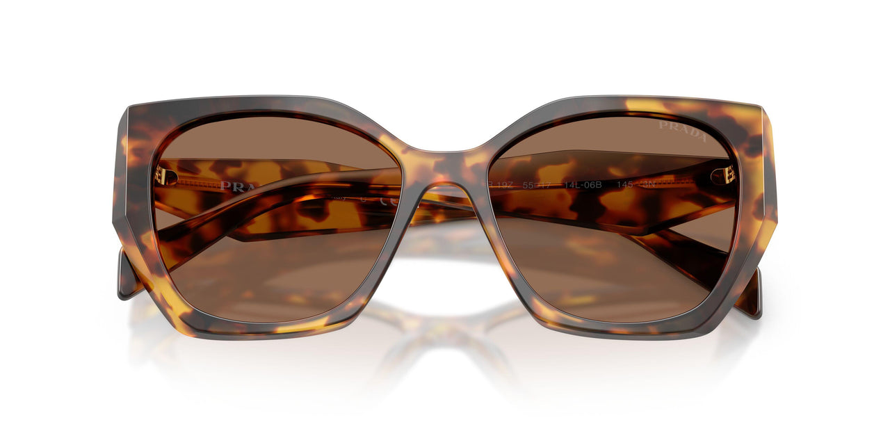 14L06B - Tortoise - Dark Brown