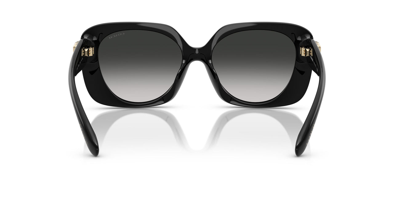 50023C - Black - Grey Gradient
