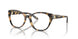 5004 - Tortoise