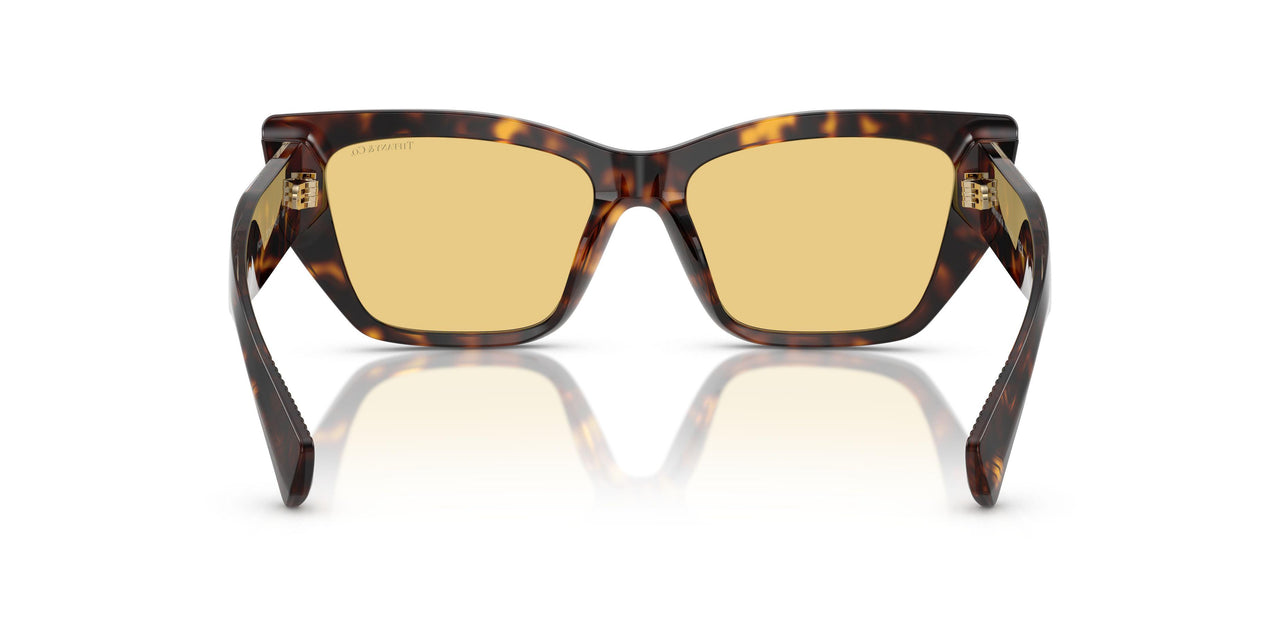 8015/7 - Tortoise - Orange