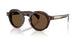 300273 - Tortoise - Solid Brown