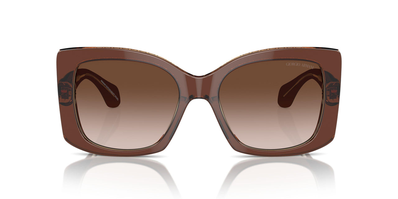 609013 - Brown - Brown Gradient