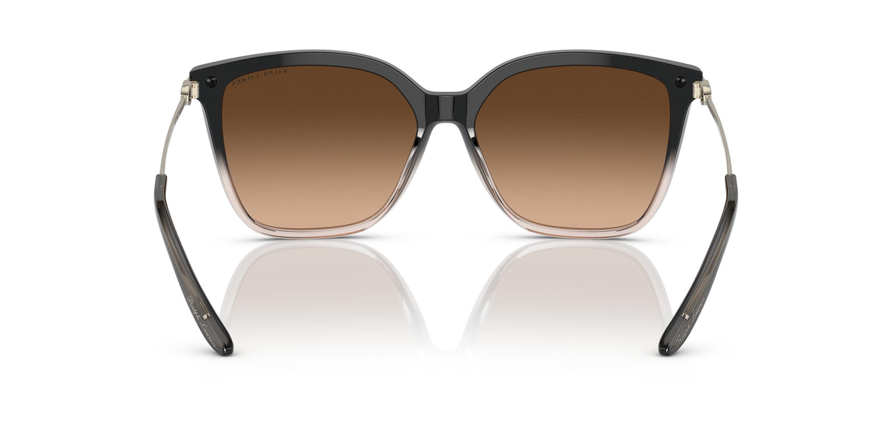602274 - Black - Brown Gradient