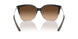 602274 - Black - Brown Gradient