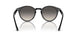 616613 - Turtledove - Brown Gradient