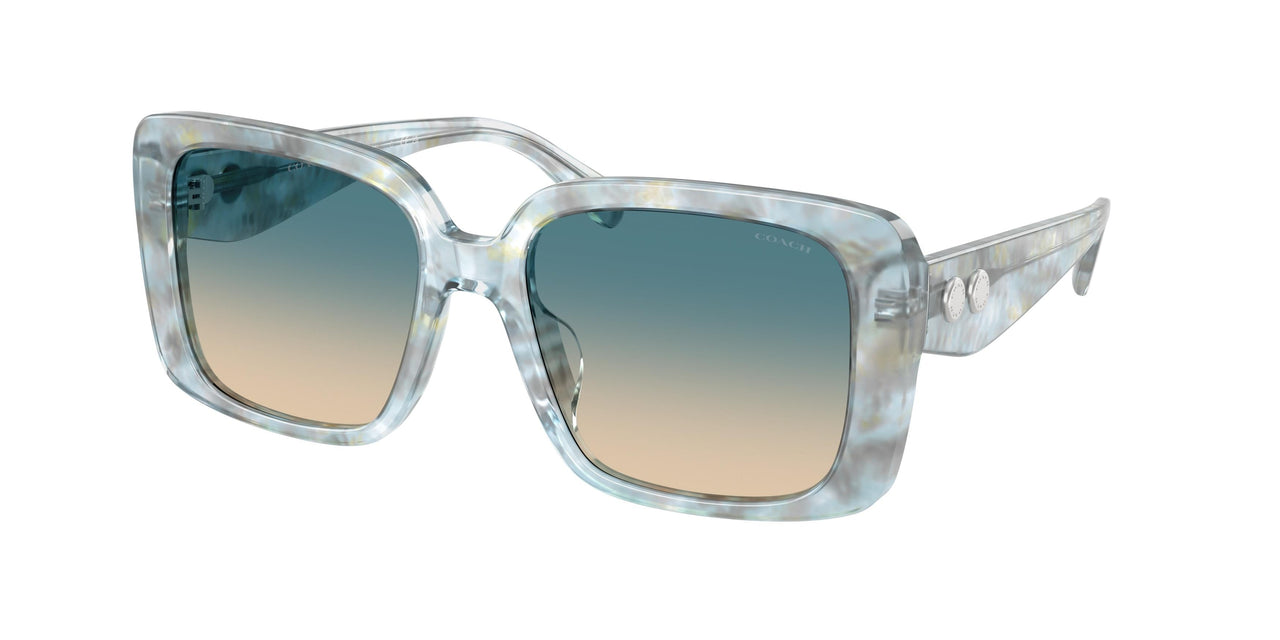 Coach Cad54 8424U Sunglasses